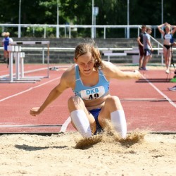 IMG 7145
