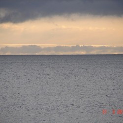 DSC08395