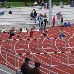 IMG 0232