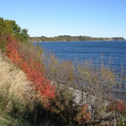 PA131460