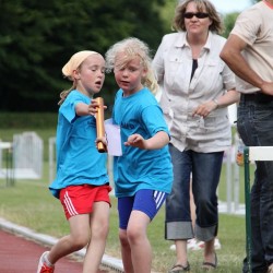 IMG 4729