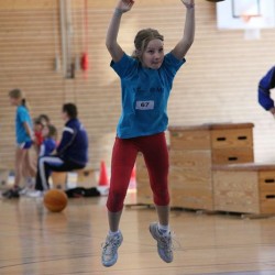IMG 2953